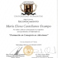 Ampliar imagen: certificate 9