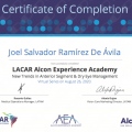 Ampliar imagen: certificate 19