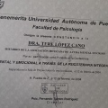 Ampliar imagen: certificate 11
