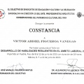 Ampliar imagen: certificate 10