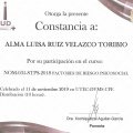 Ampliar imagen: certificate 6