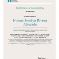 Ampliar imagen: certificate 16