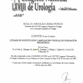 Ampliar imagen: certificate 6