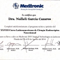 Ampliar imagen: certificate 8
