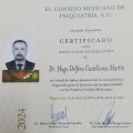 Ampliar imagen: certificate 1