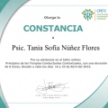 Ampliar imagen: certificate 3
