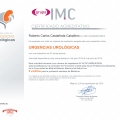 Ampliar imagen: certificate 5