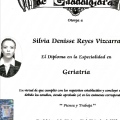 Ampliar imagen: certificate 7