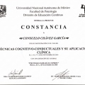 Ampliar imagen: certificate 16