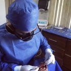 Dr. Agustin Salamanca Tapia