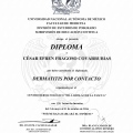 Ampliar imagen: certificate 3