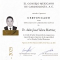 Ampliar imagen: certificate 2