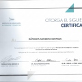 Ampliar imagen: certificate 10