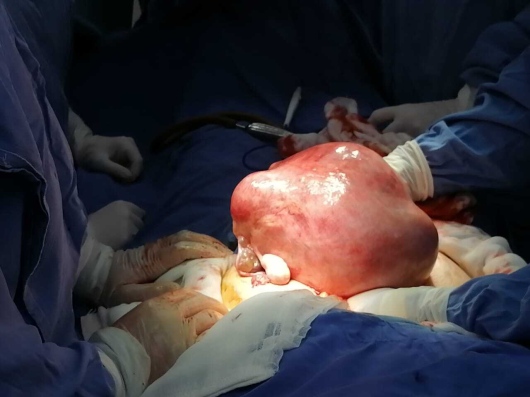 Jose Rafael Vargas Lopez-9