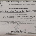 Ampliar imagen: certificate 6
