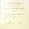 Ampliar imagen: certificate 17