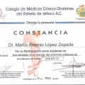 Ampliar imagen: certificate 123