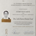 Ampliar imagen: certificate 4