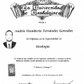 Ampliar imagen: certificate 4