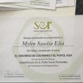 Ampliar imagen: certificate 13