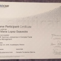 Ampliar imagen: certificate 4