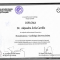 Ampliar imagen: certificate 5