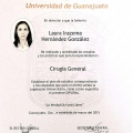 Ampliar imagen: certificate 3
