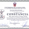 Ampliar imagen: certificate 26