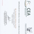 Ampliar imagen: certificate 3