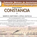 Ampliar imagen: certificate 3