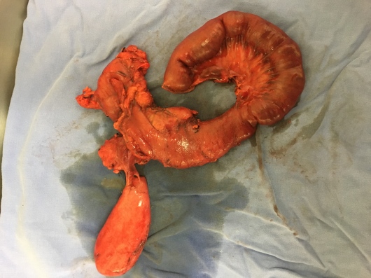 César Espejel Valdés-30