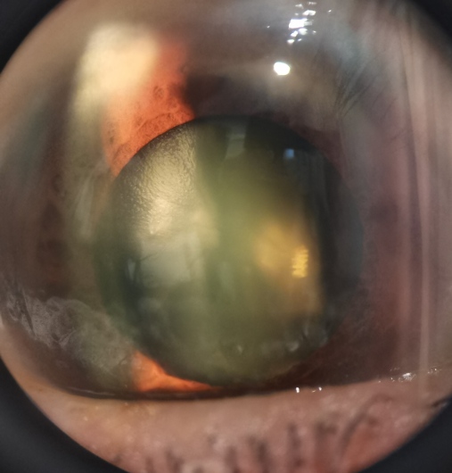 Sergio Alberto Ramirez Daher-5