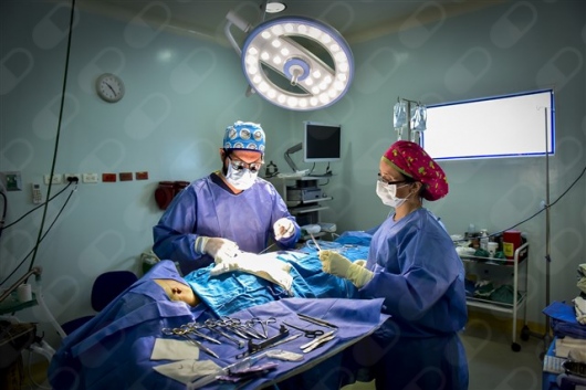 Ricardo David Guillén De La Colina-4