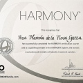 Ampliar imagen: certificate 4