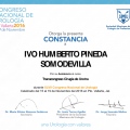Ampliar imagen: certificate 10