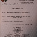 Ampliar imagen: certificate 50
