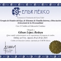 Ampliar imagen: certificate 7