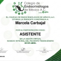 Ampliar imagen: certificate 5