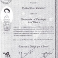 Ampliar imagen: certificate 6