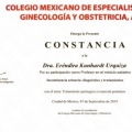 Ampliar imagen: certificate 6
