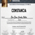 Ampliar imagen: certificate 9