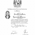 Ampliar imagen: certificate 3