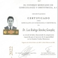 Ampliar imagen: certificate 4