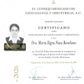 Ampliar imagen: certificate 1