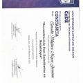Ampliar imagen: certificate 5