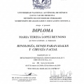 Ampliar imagen: certificate 5