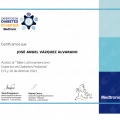 Ampliar imagen: certificate 8