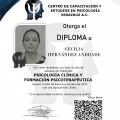 Ampliar imagen: certificate 2