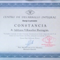 Ampliar imagen: certificate 11