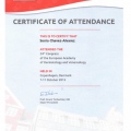 Ampliar imagen: certificate 4